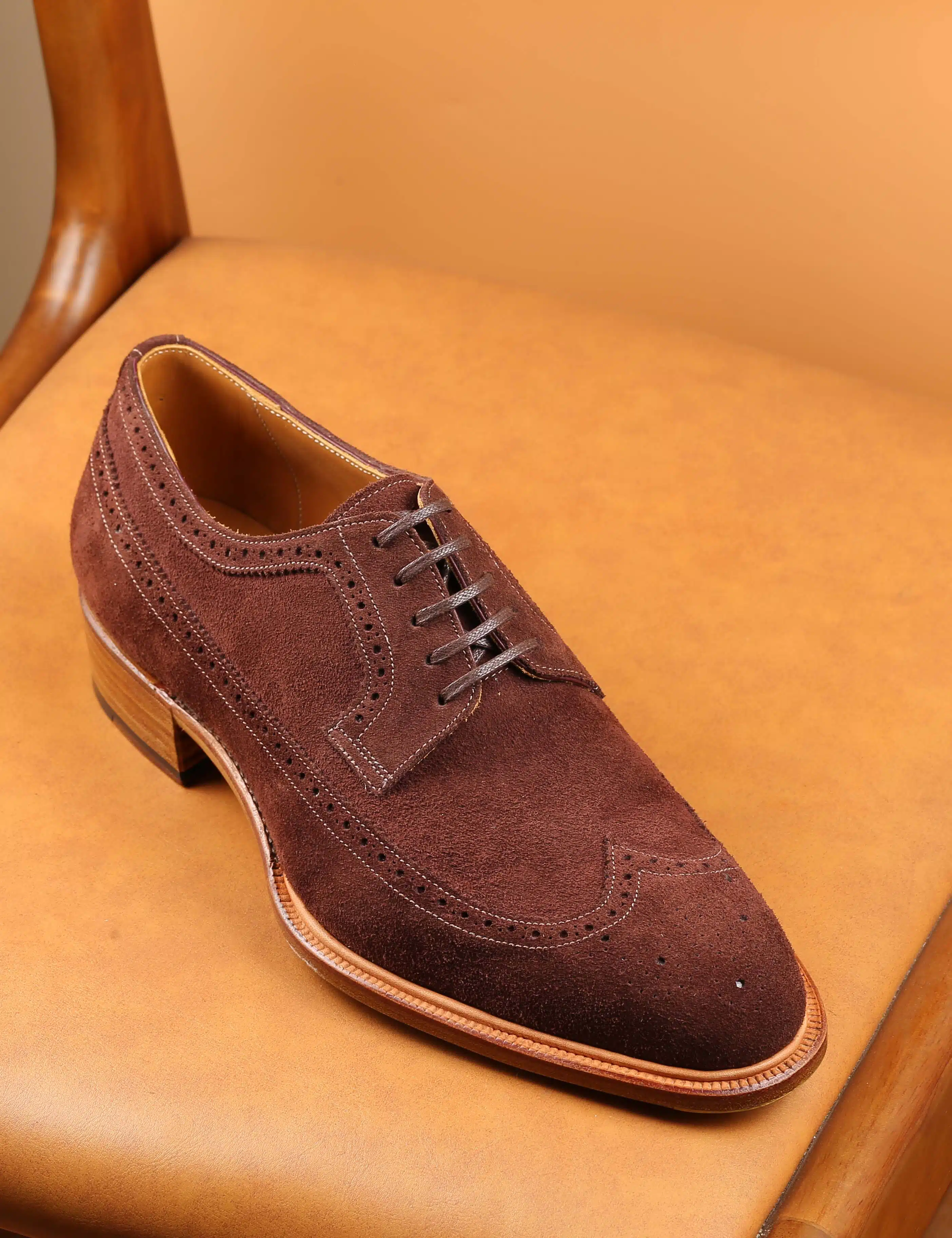 Long-Wing-Blucher-02